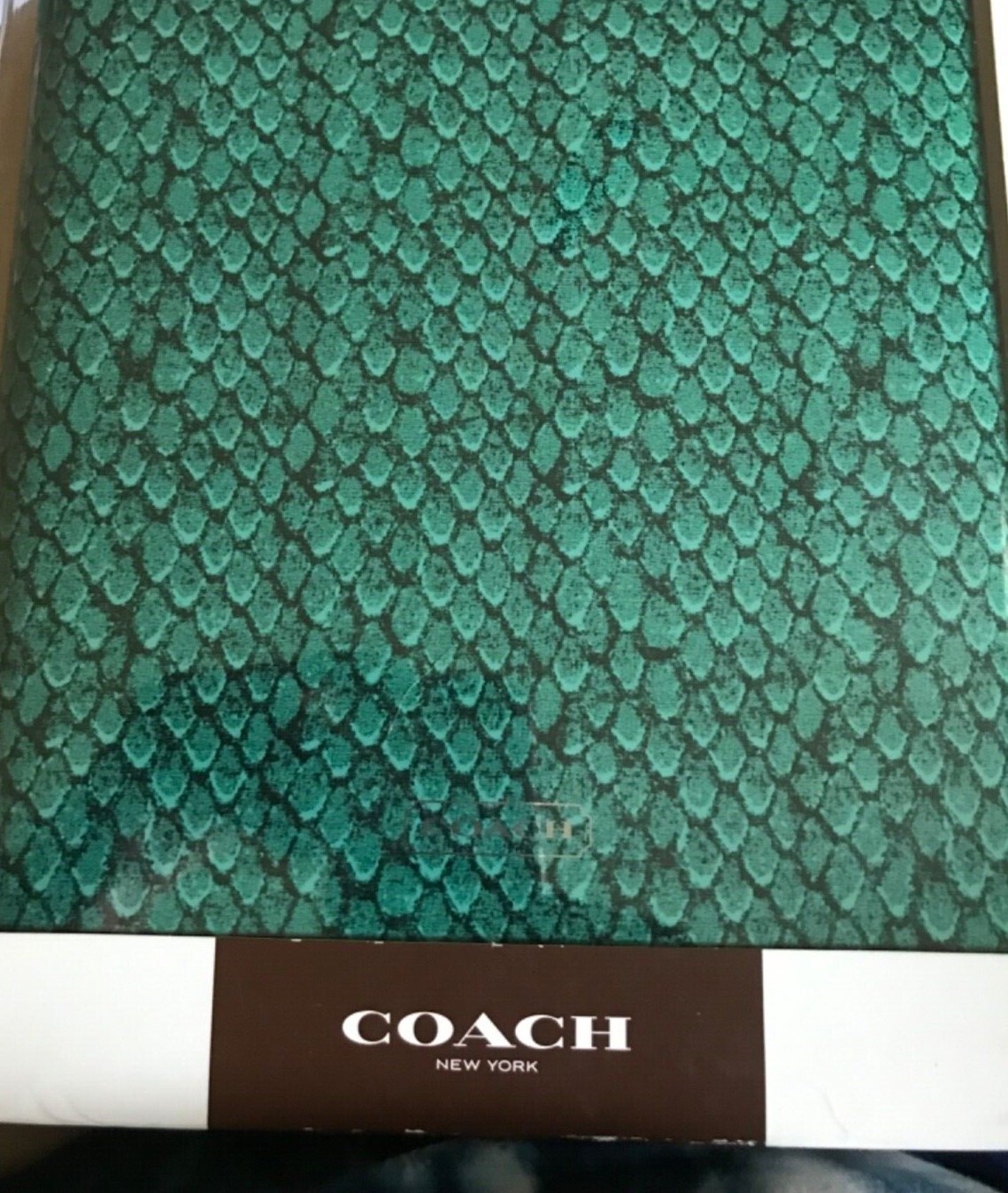 COACH Ipad Case NEW IN BOX F64219 Heritage Molded Green Snake 7"x 8" New