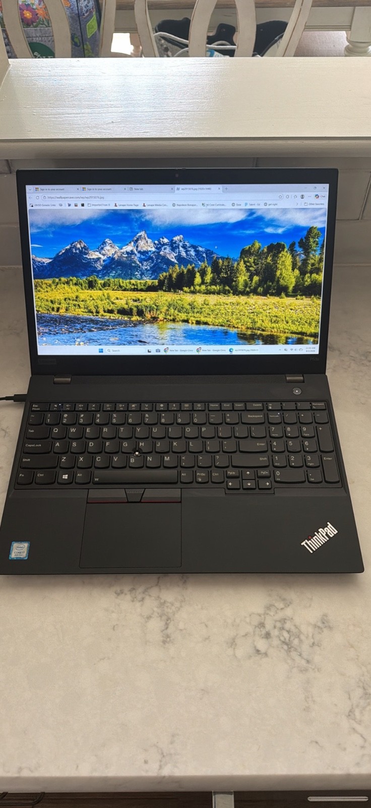 Lenovo ThinkPad P53S. North Face Vault Backpack
