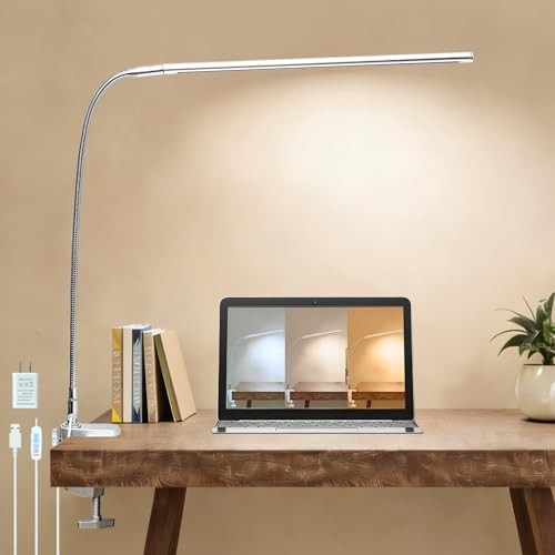 Space Aluminum LED Desk Lamp with Clamp, Clip on Light for Reading Study Desk 