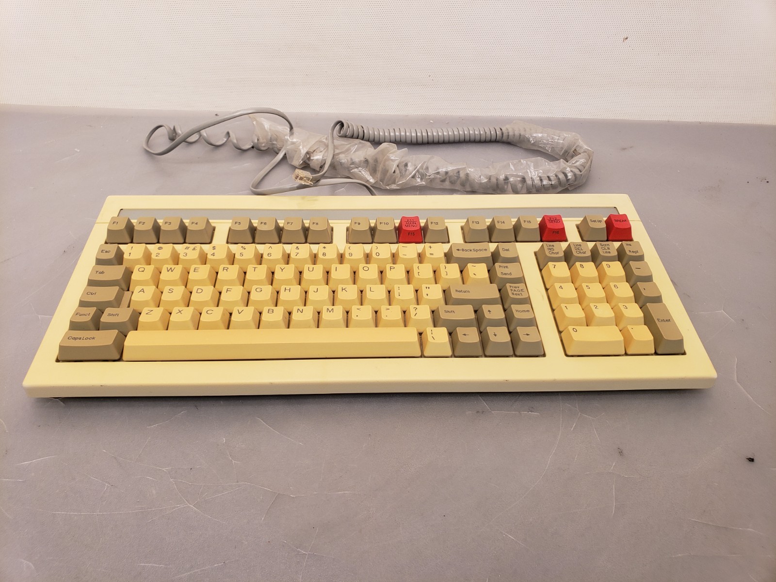 Vintage Wyse ASCII U.S./U.K. Keyboard 901867-01 Terminal Computer