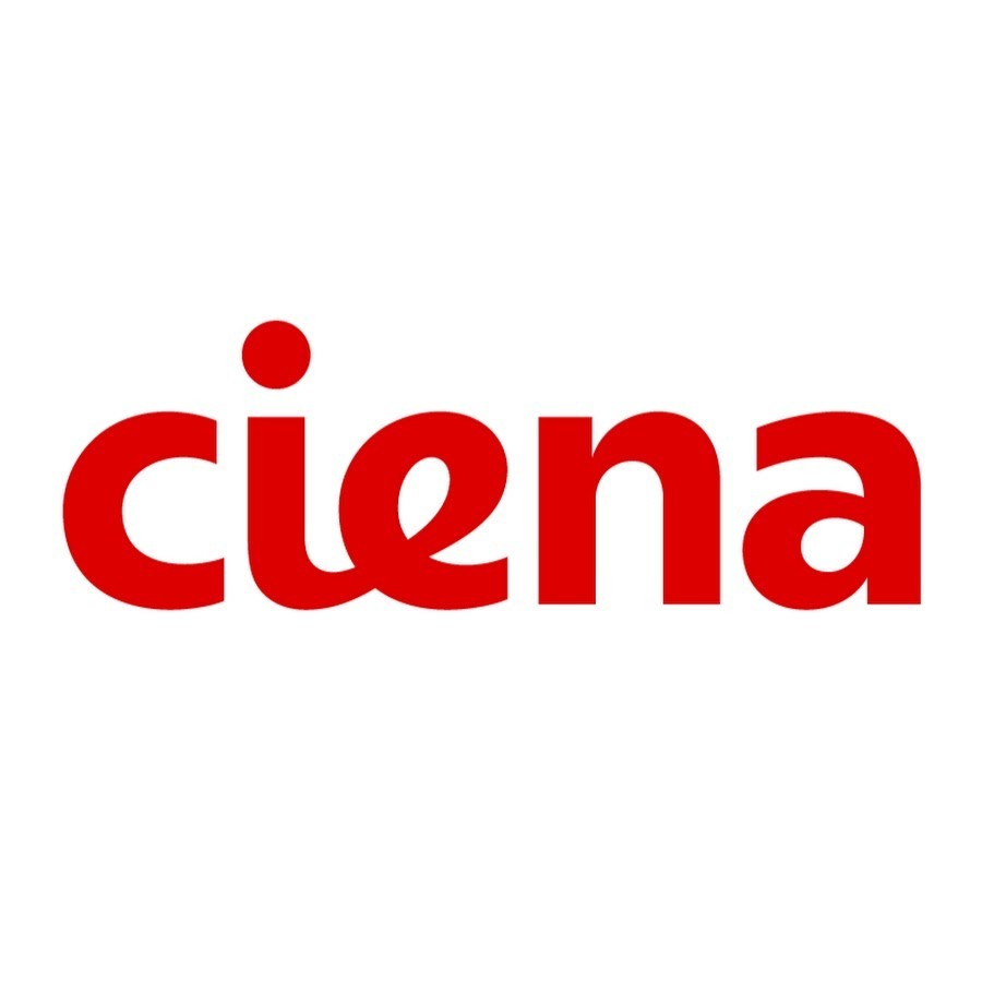 CIENA Original XCVR-A10J31 Transceiver SFP 100/1000Base-LX (1310nm, SMF, 10km