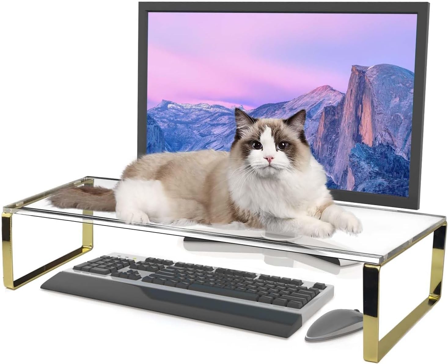 Keyboard Cat Protector - 20" Large Monitor Stand 2 in 1 Clear Acrylic Keyboard 