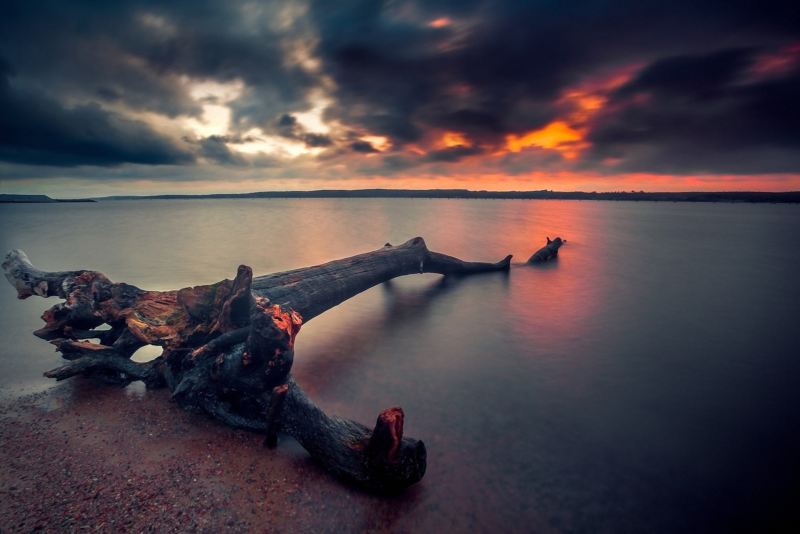 Landscape beach sunset dead trees skyscape nature sky Custom Gaming Mat Desk