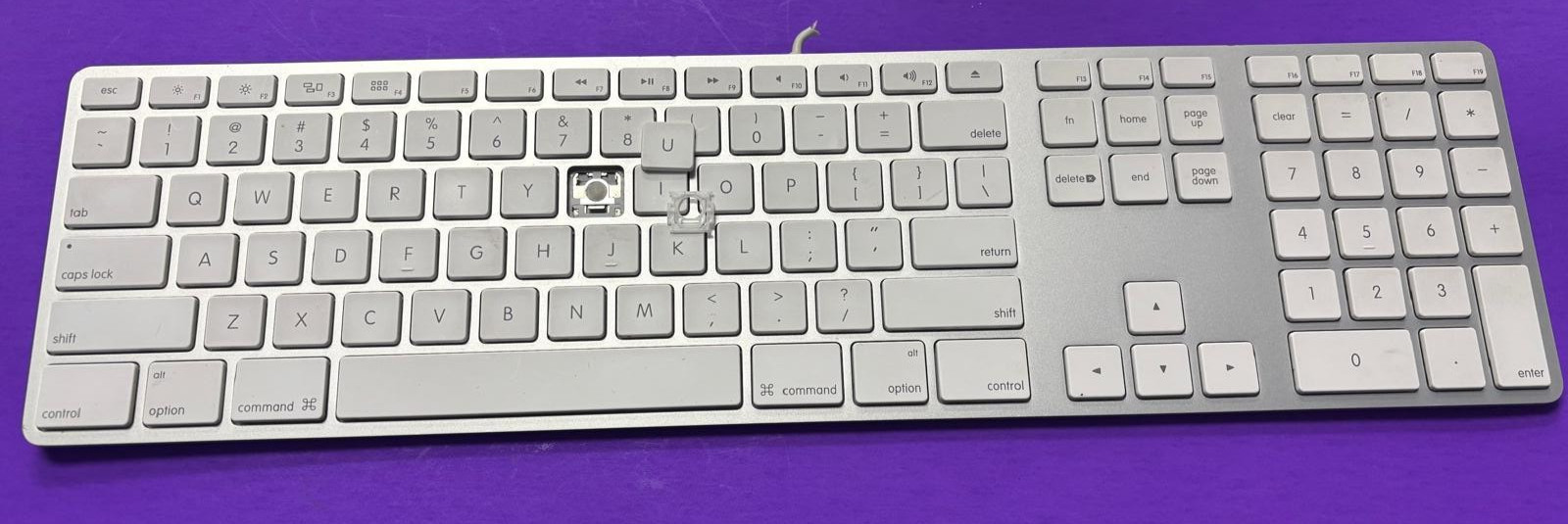 🔨ORIGINAL Apple Wired USB Keyboard A1243 Replacement Keys with HINGE Clips