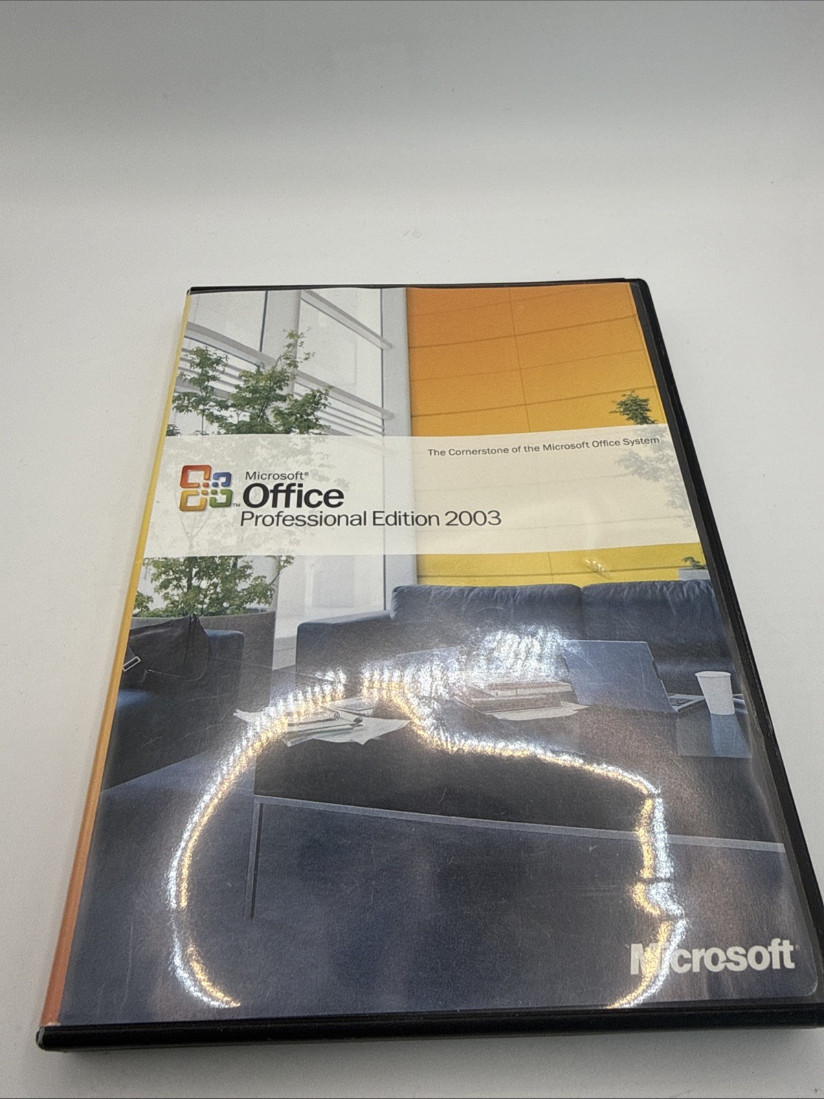 Microsoft Office Professional 2003