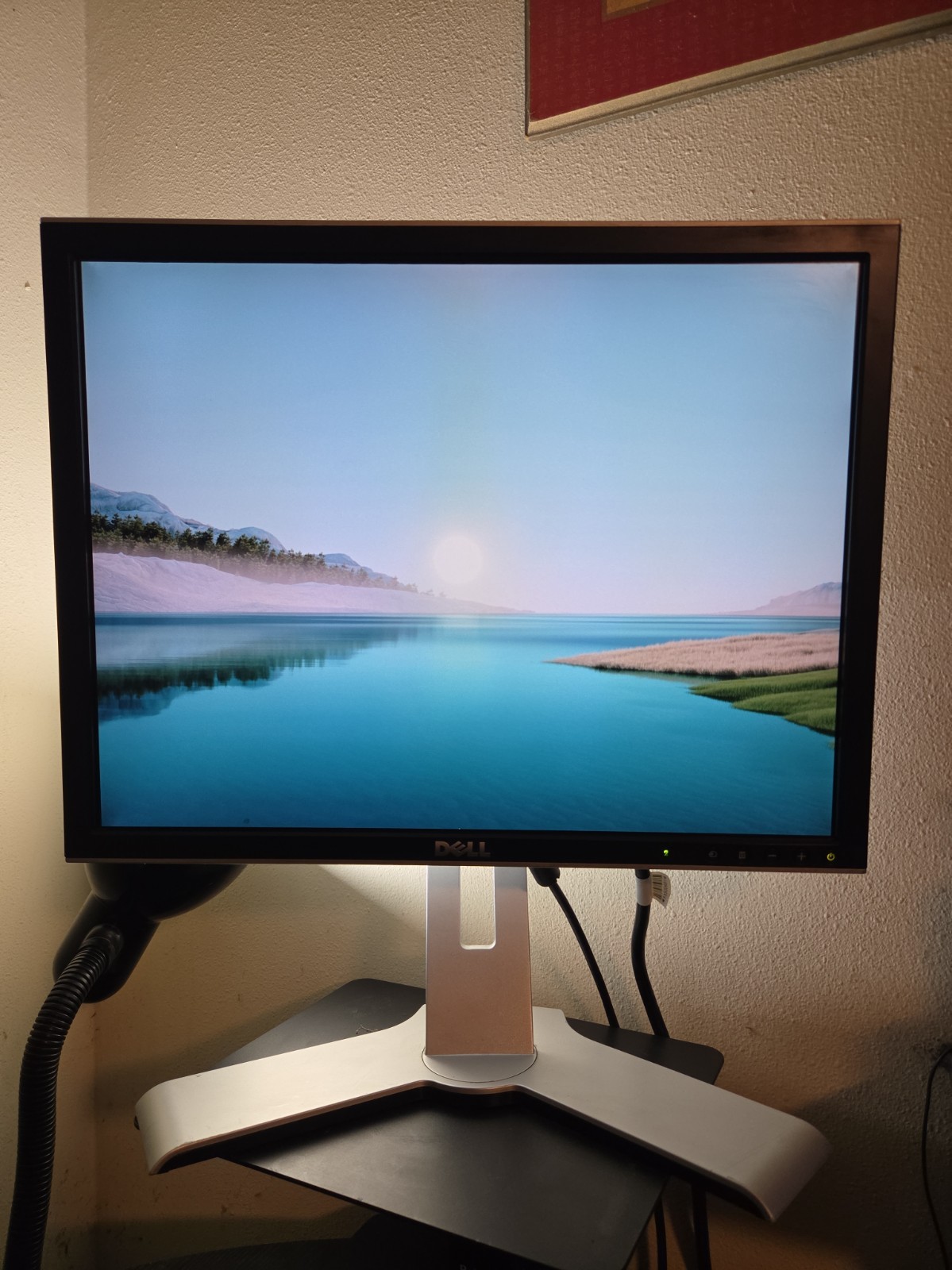 DELL 2007FPB 20"Flat UltraSharp Monitor VGA/DVI (4:3) 1600x1200 S-Video 