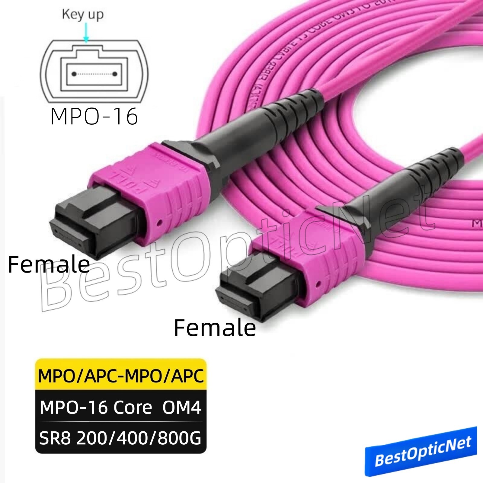 MPO-16 APC to MPO-16 APC Female/Female 16 Core OM4 Fiber Optic Patch Cord SR8