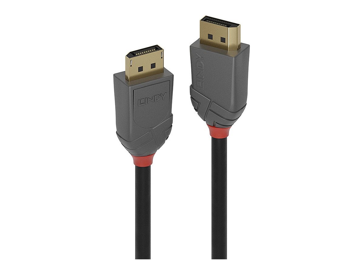 Lindy DisplayPort Anthra Line Cable Digital/Display/Video Cable 1m 36481