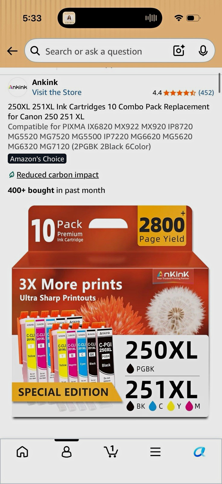 Ankink 250XL 251XL Compatible Ink Cartridges 10PK for Canon PIXMA, CMYK