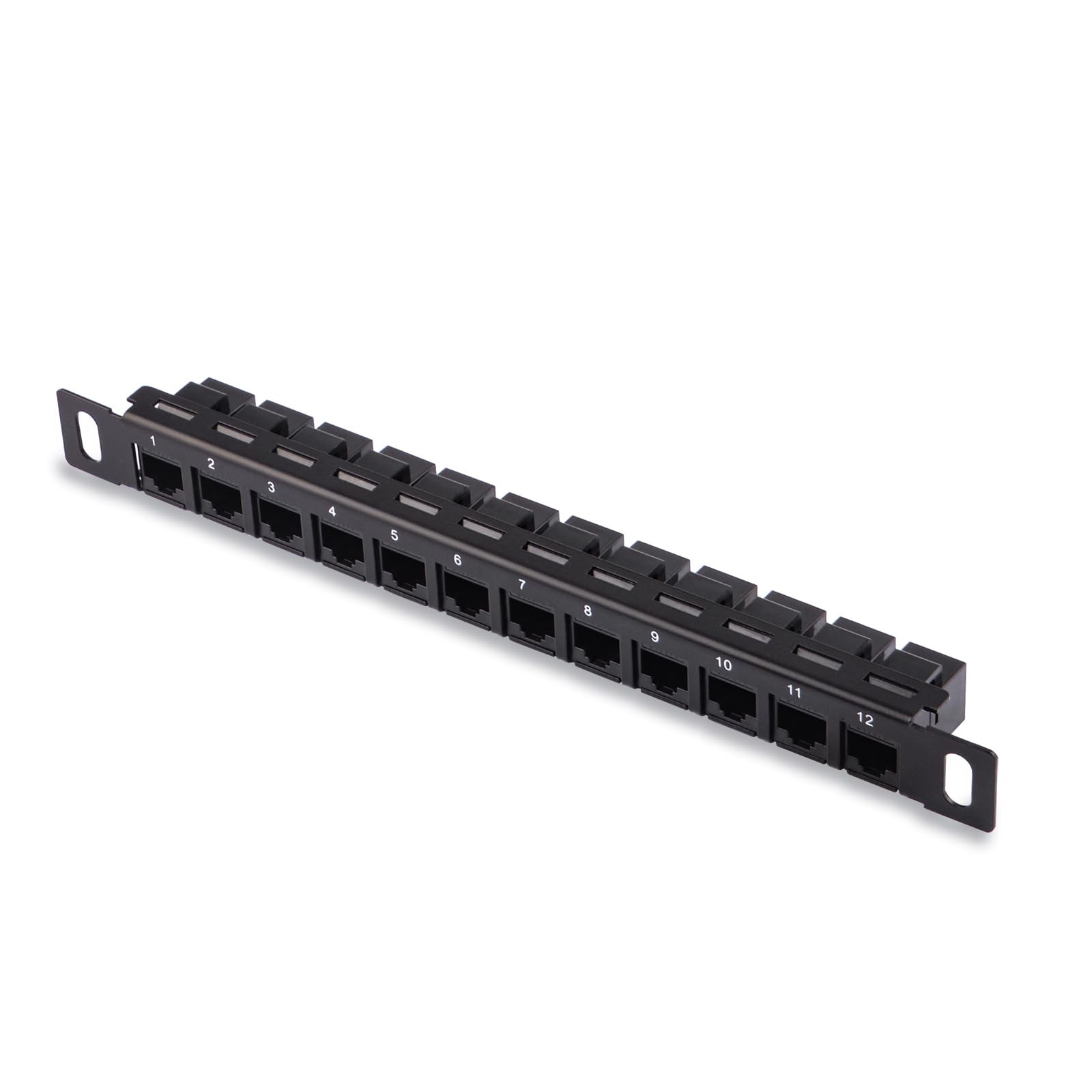 GeeekPi 12 Port Patch Panel, 10inch 0.5U CAT6 Network Patch Panel for DeskPi ...