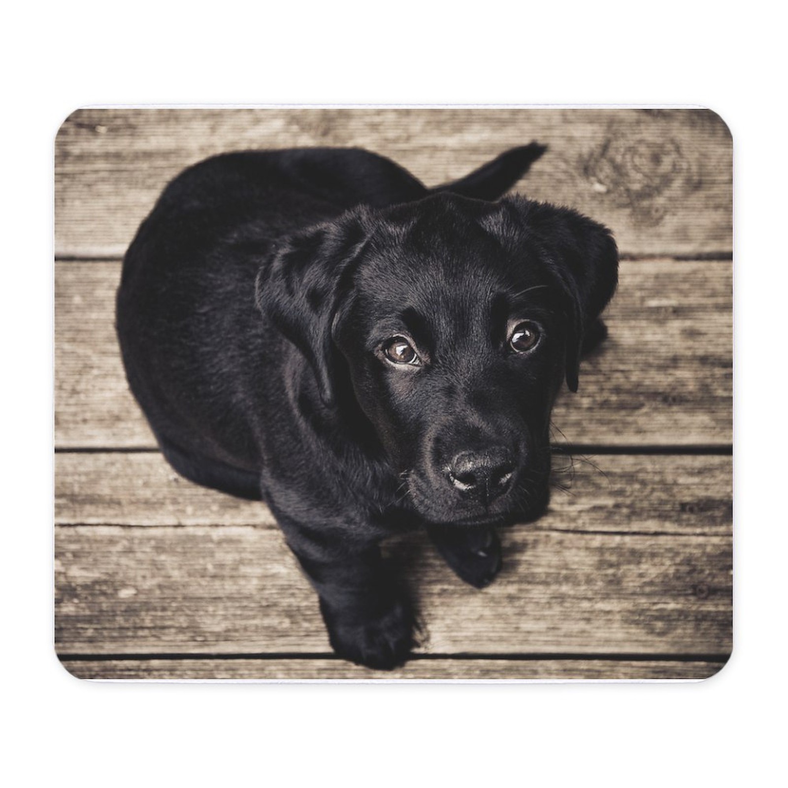 CafePress Black Lab Puppy Mousepad  (1278888740)