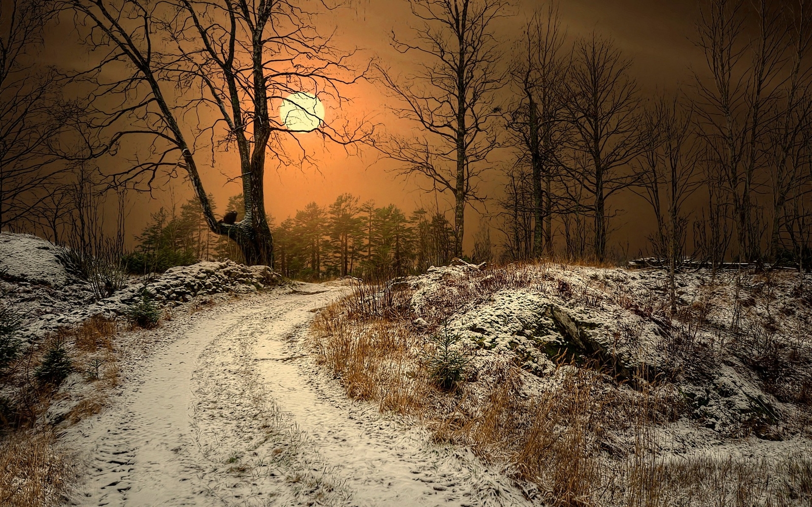 Landscape winter sun norway dirt road trees nature dry Custom Gaming Mat Desk