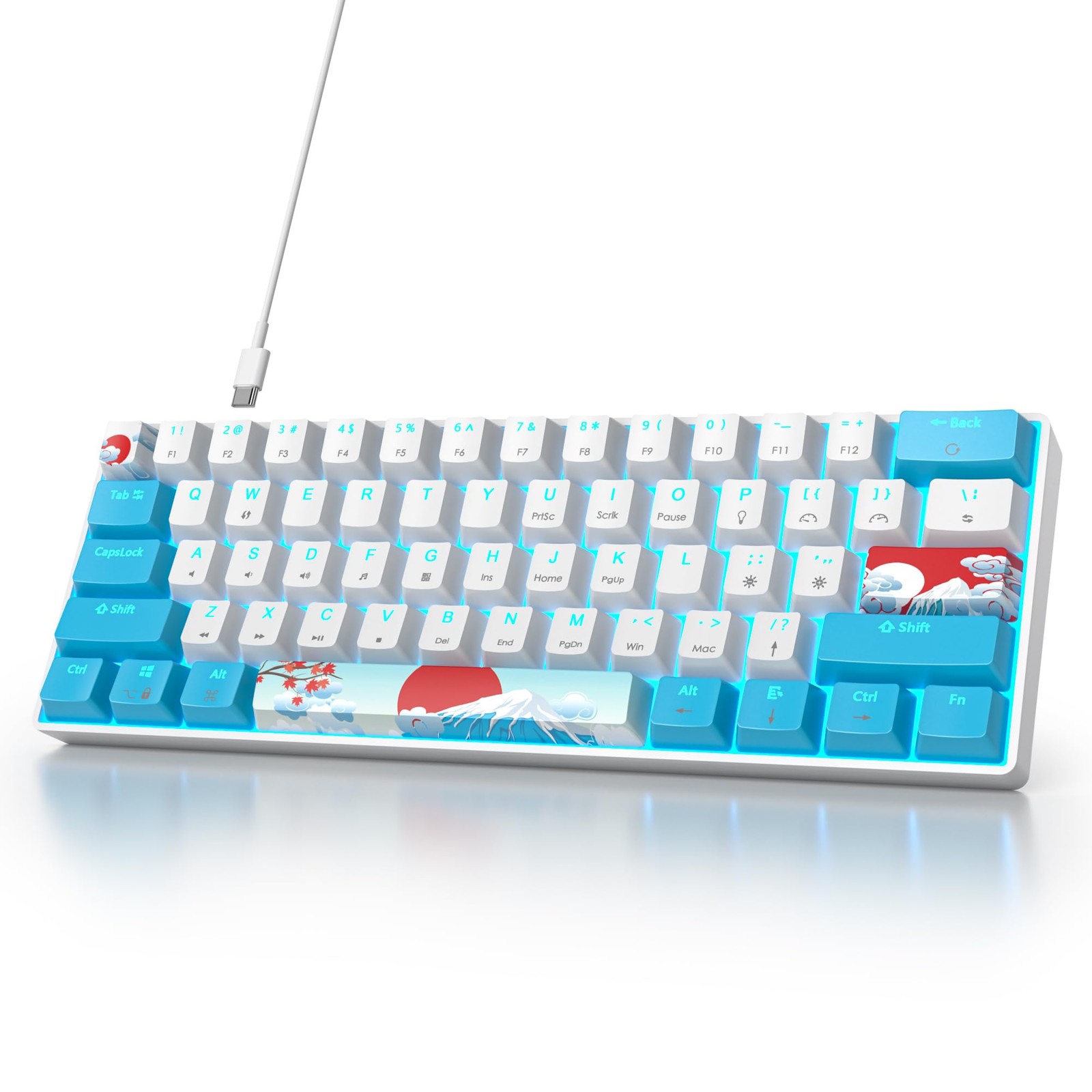 60 Percent Gaming Mechanical Keyboard 61 Keys Wired Red Switch LED Backlit PC