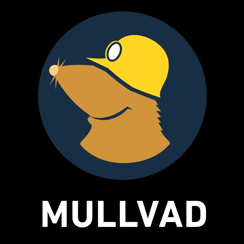 Mullvad VPN Premium for 2 months