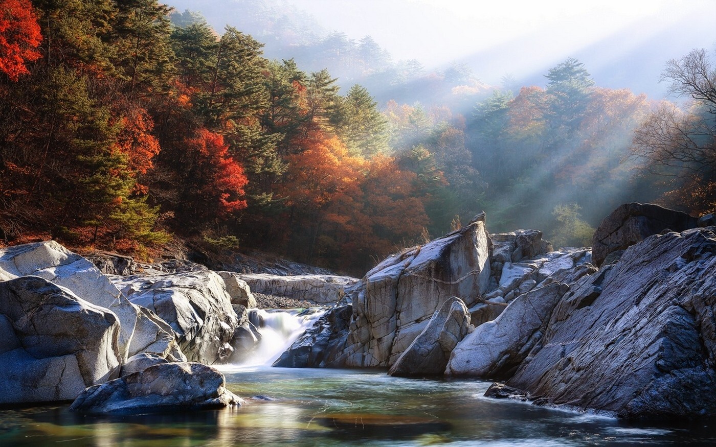 Landscape nature river mist forest fall sun rays trees Custom Gaming Mat Desk