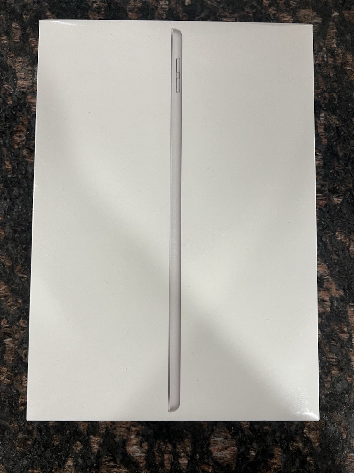 SEALED Apple iPad (9th Generation) A2602 256 GB Wi-Fi 10.2 in Silver