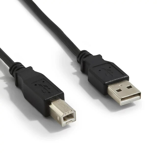 NXT Technologies 6' USB A Male/B Male Black NX29749