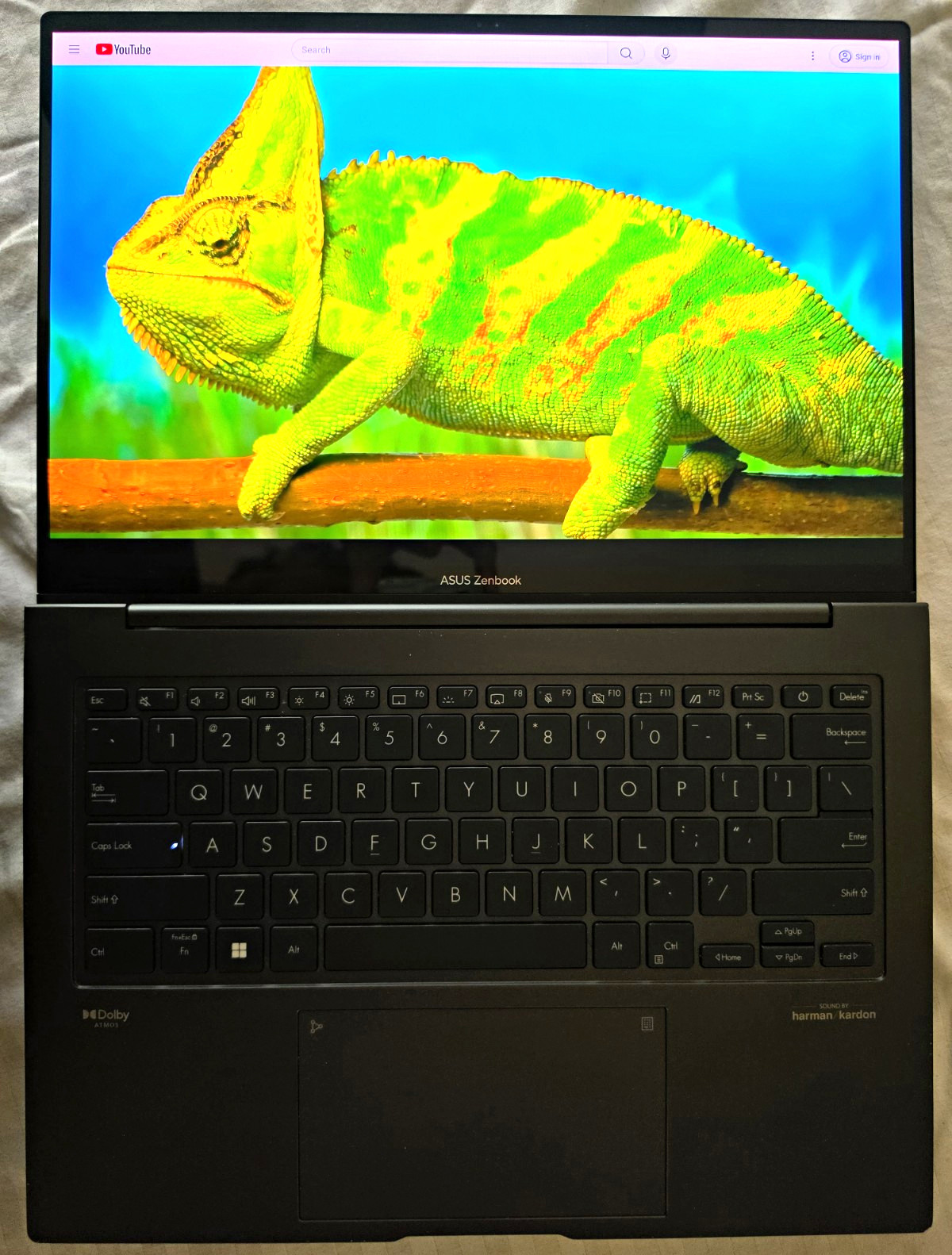 ASUS Zenbook 14 2.8K OLED  Touchscreen | 13th-Gen i5  (12-Core) | 512GB SSD