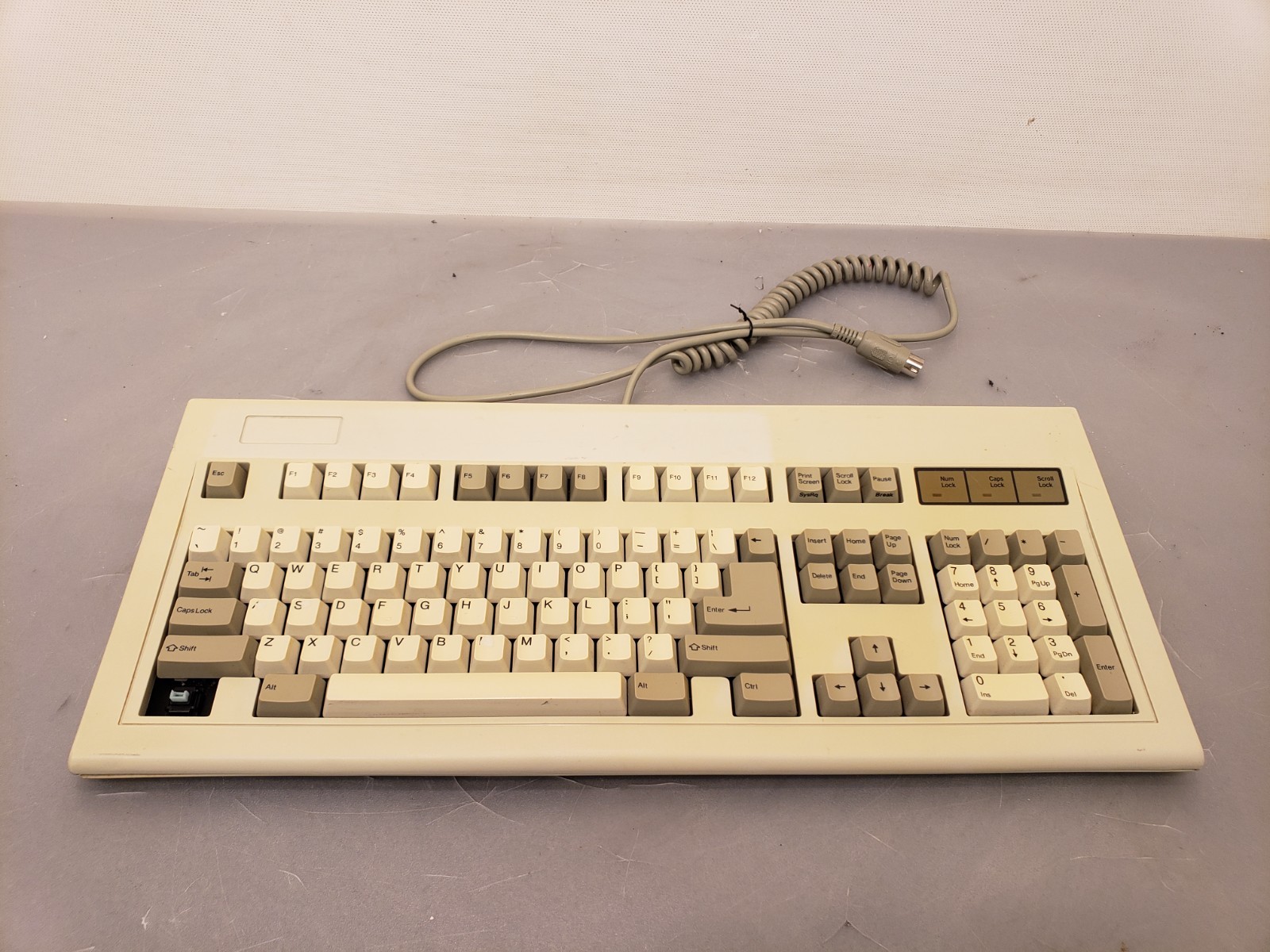 Chicony KB-5181 Mechanical Clicky Keyboard AT XT 5-Pin DIN Monterey Blue Switch
