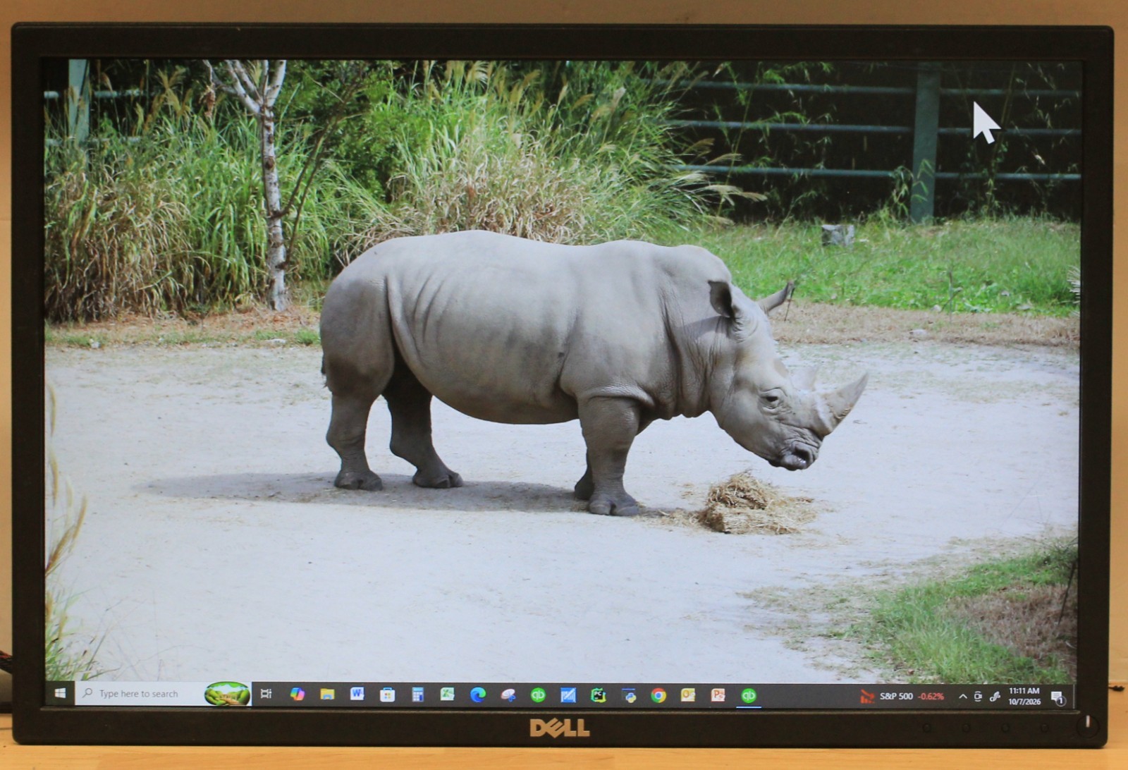 Dell P22217 22" WideScreen 1680 x 1050 Monitor, No Stand