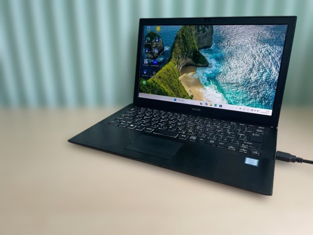 VAIO VJS131C11N Core i5 6th Gen 8GB 256GB SSD 13.3in Laptop From JAPAN