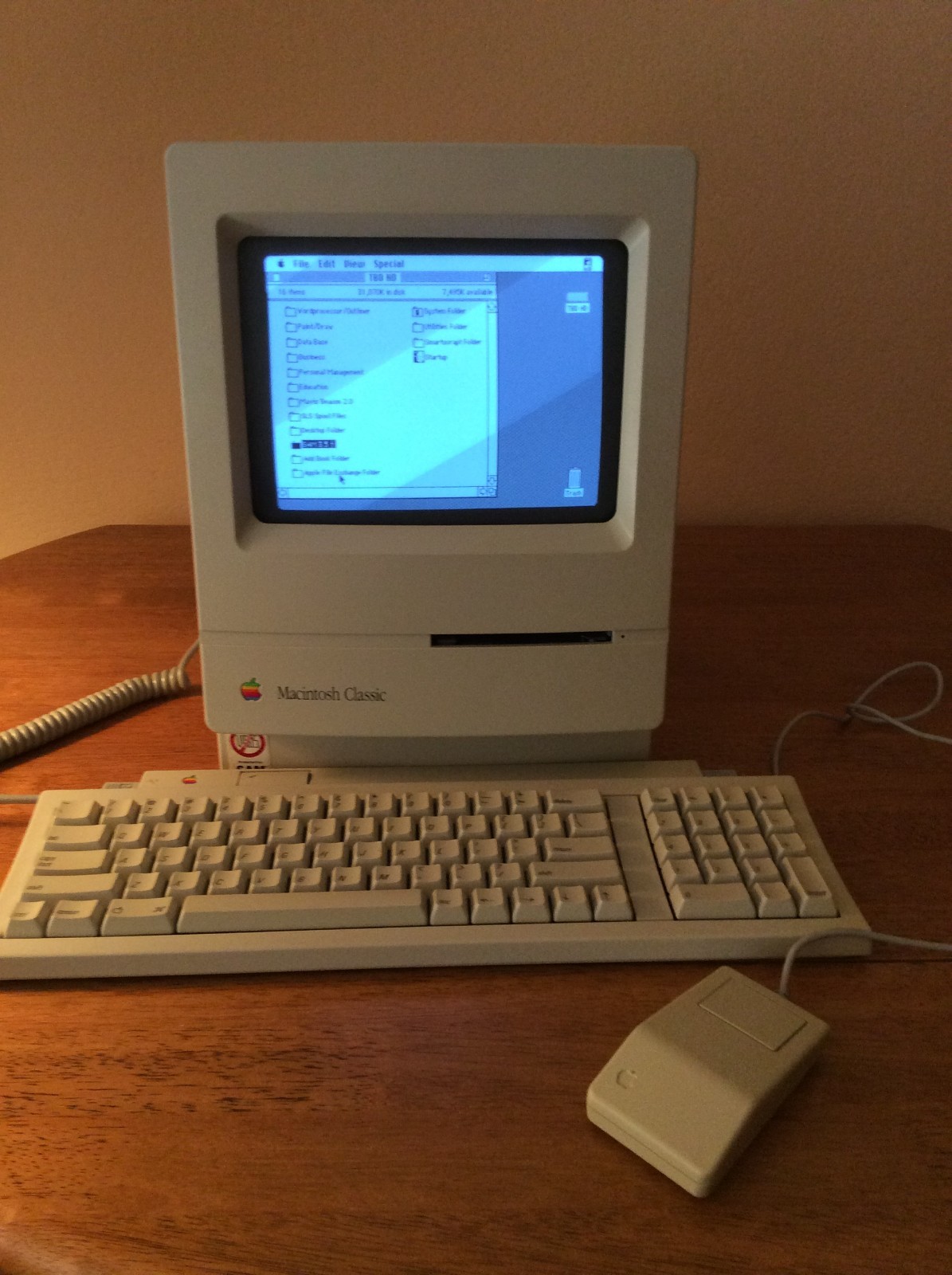 Apple Mac Classic Bundle, M0420, 4MB RAM, 40MB HD, System 6OS, 50 Programs, Case