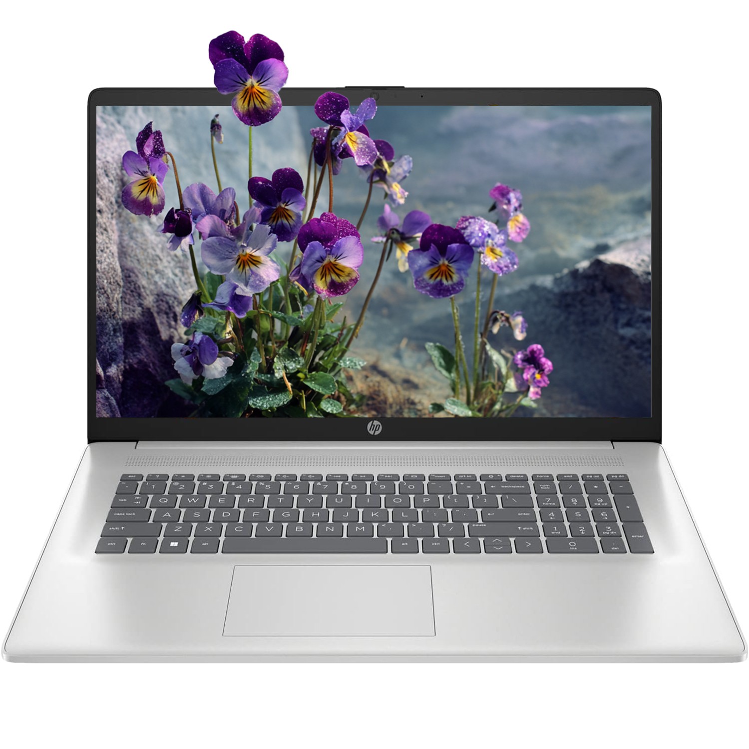 📍HP 17.3" FHD+ Laptop - 4.30GHz AMD Ryzen 5 (6 cores) Up To 64GB Memory 2TB SSD