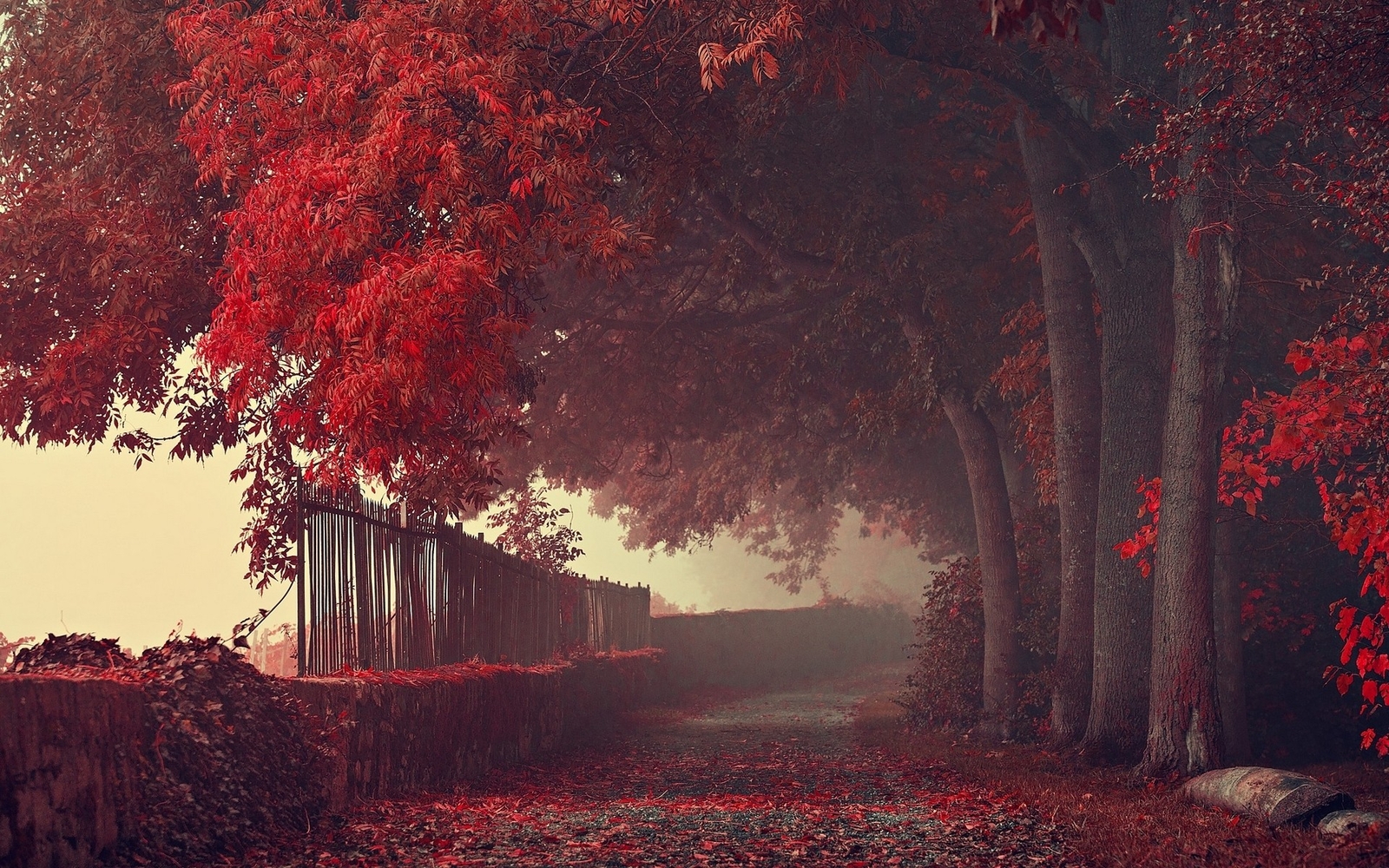Landscape fall path fence trees leaves red mist fallen Custom Gaming Mat Desk