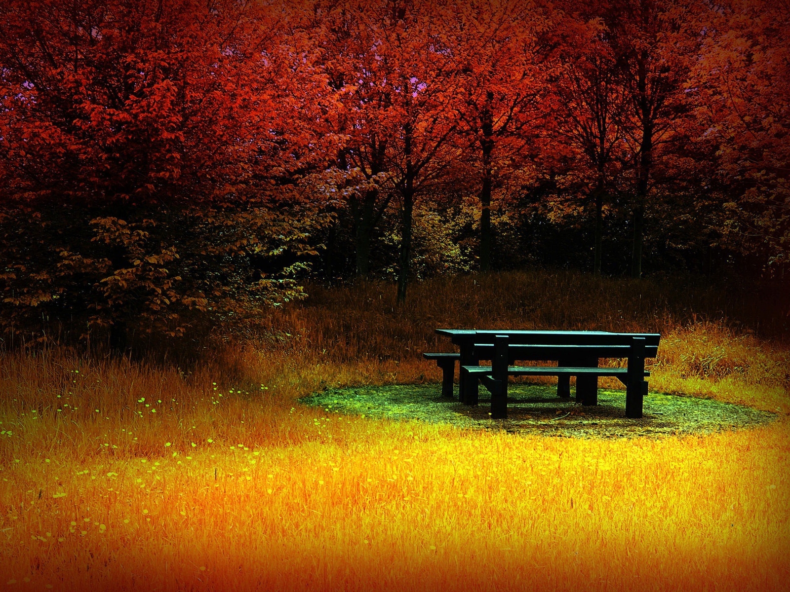 Landscape forest clearing bench red fall Custom Gaming Mat Desk
