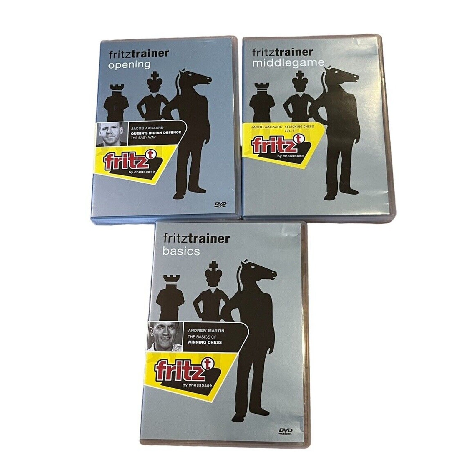 Fritz Trainer ChessBase Opening Middlegame Basics Andrew Martin Jacob Aagaard PC