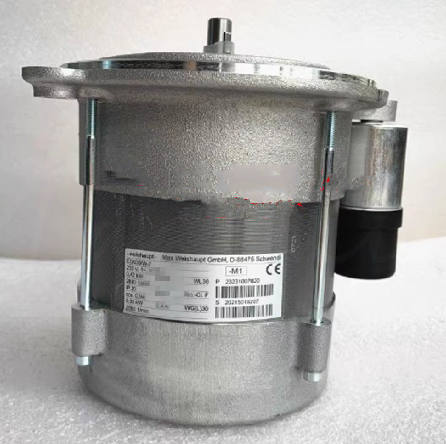 QTY:1 NEW WG 40 ECK 06/W-2 Motor motor for burner WG40  DHL or FedEX