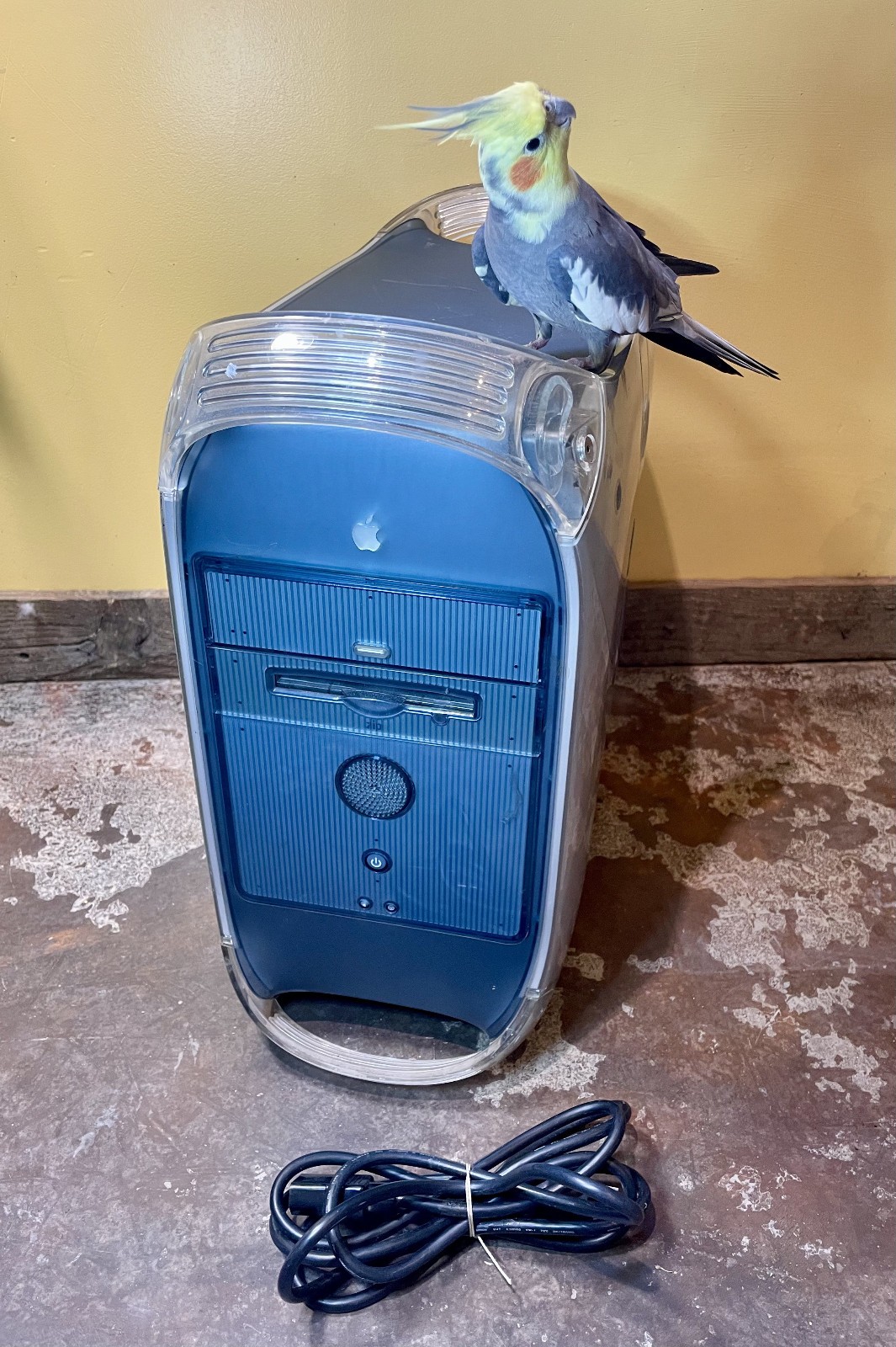 Apple Power Mac G4 M5183 Computer 466 MHz, 512 MB SDRAM, Tiger 10.4.10, Works