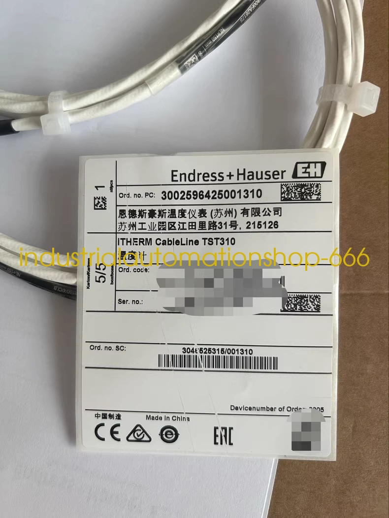 1PC NEW E+H TST310 thermometer Via DHL or FedEX