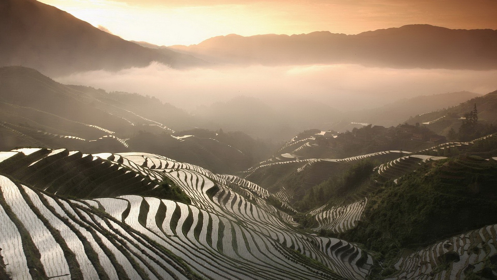 Landscape vietnam field asia rice terrace Custom Gaming Mat Desk