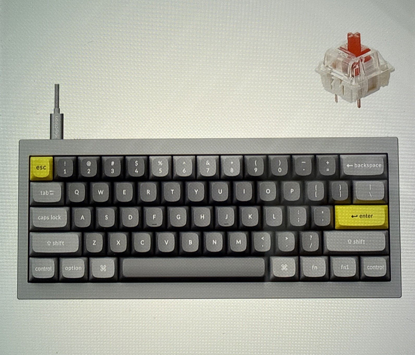 Keychron Q4 QMK Custom 60% Mechanical Keyboard Silver Gray Gateron Red Switches