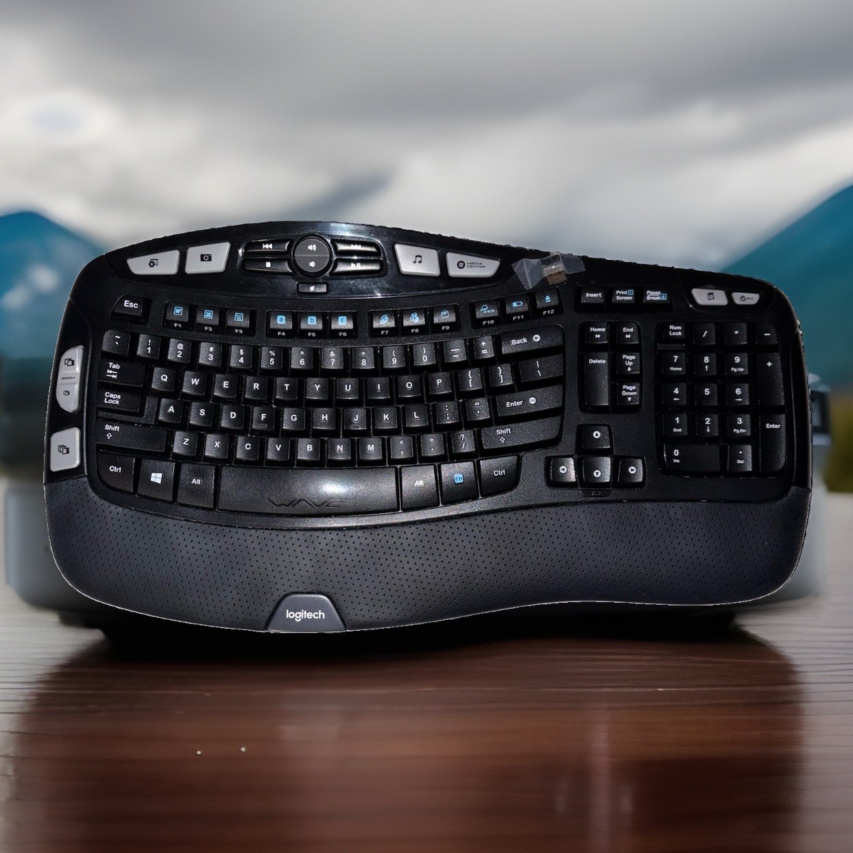 Logitech Wave Wireless Black Keyboard K350 With USB Adapter