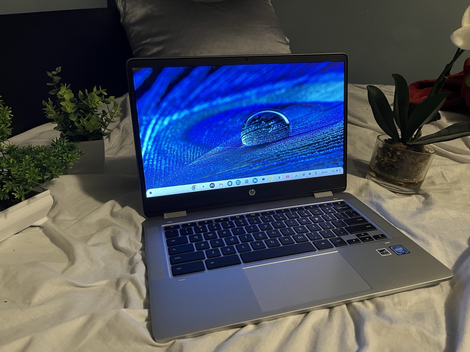HP Chromebook x360 14a-CA0036TG 14” Touchscreen N4020 4GB 64GB