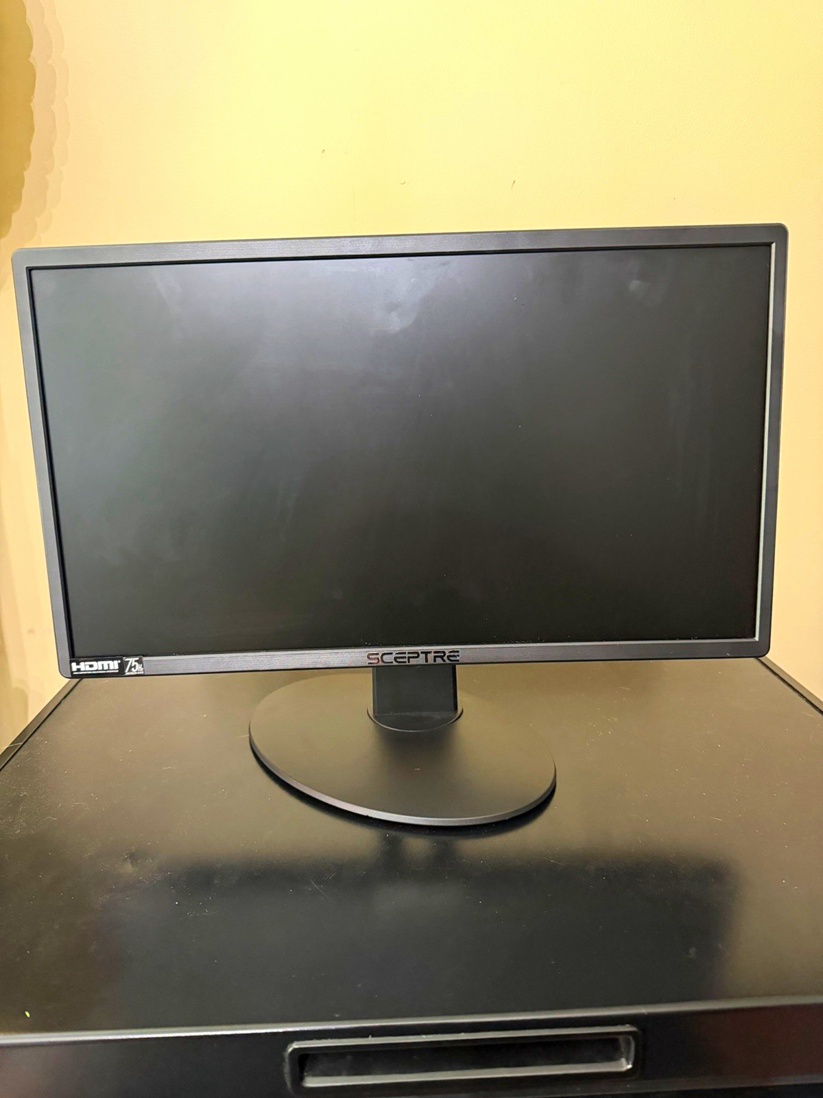 Sceptre E205W-16003RT 20in LED Monitor 75Hz 1600x900 Speakers HDMI VGA