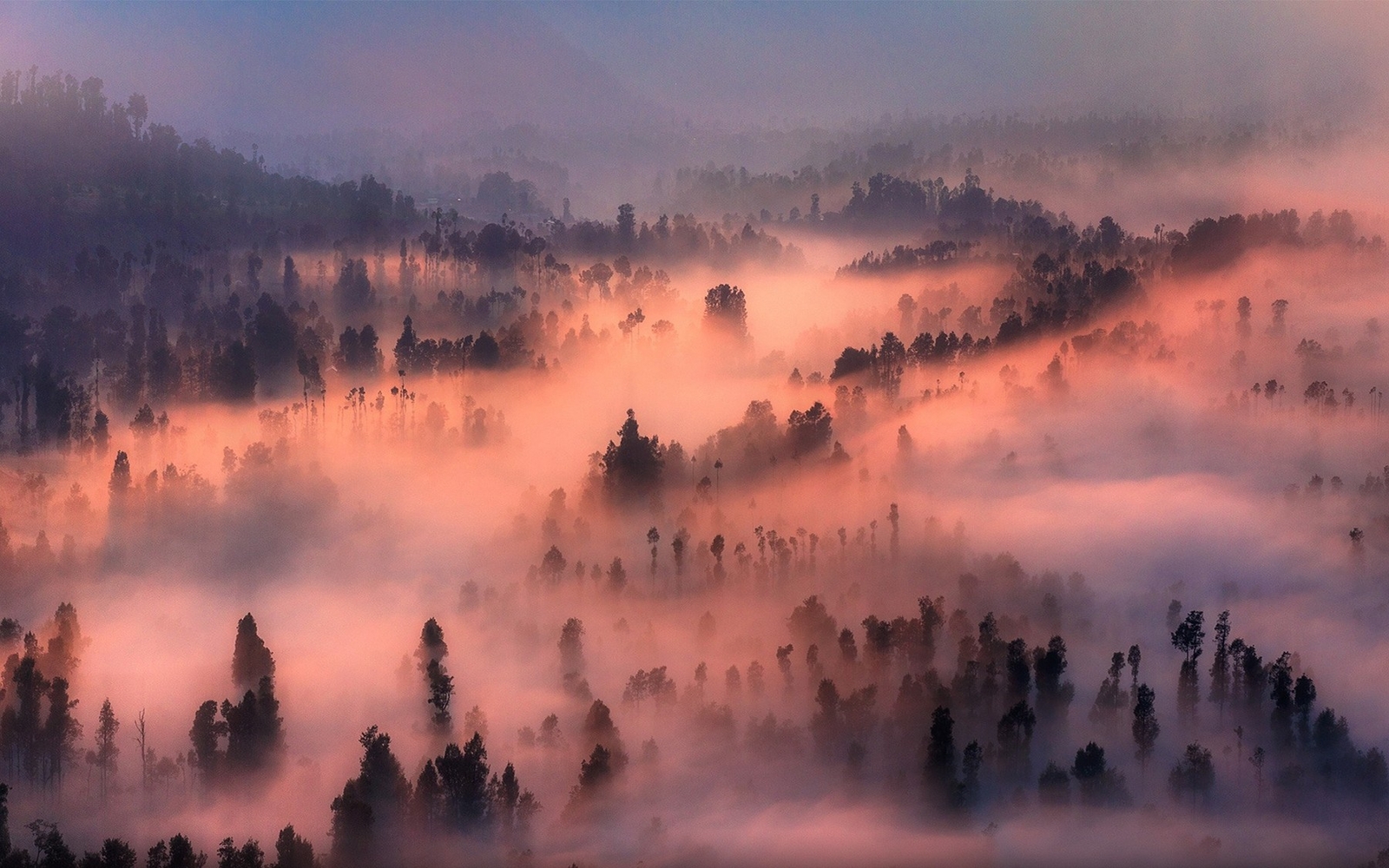 Landscape nature valley mist forest morning trees Custom Gaming Mat Desk