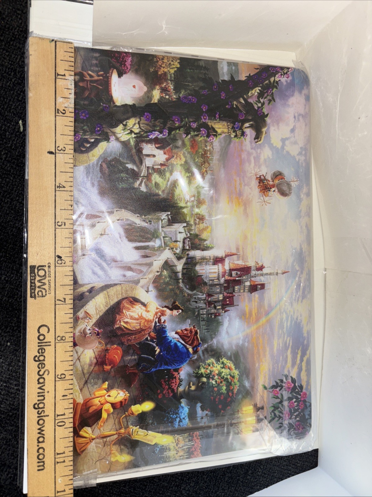 Beauty And The Beast Hard Laptop/chromebook Case Brand New 12” By 8.5”