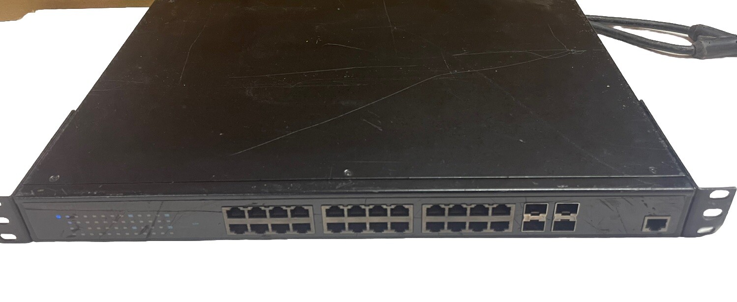 Pakedge Device & Software Inc. S24HF 24 Port Gigabit Switch