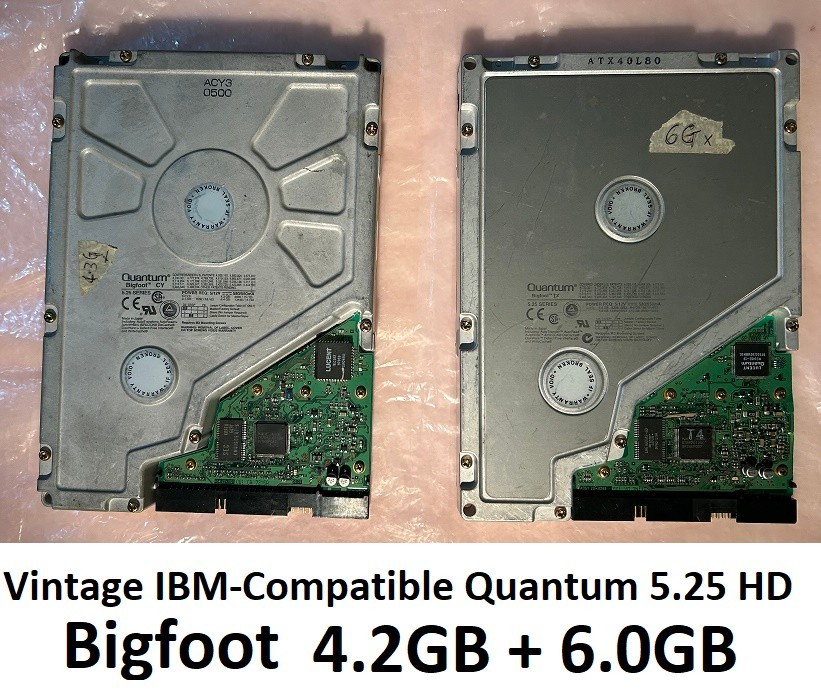 Lot of 2) Vintage IBM Compatible Internal Quantum 5.25 Bigfoot HD, 4.2GB + 6.0GB