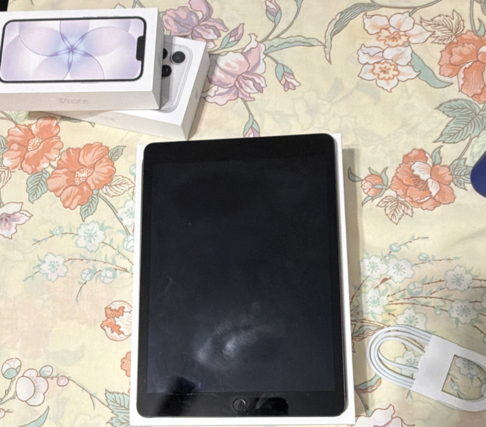 Apple iPad 10.2in 256GB Gray Wi‑Fi + 5G Tablet w/ Box (Used)