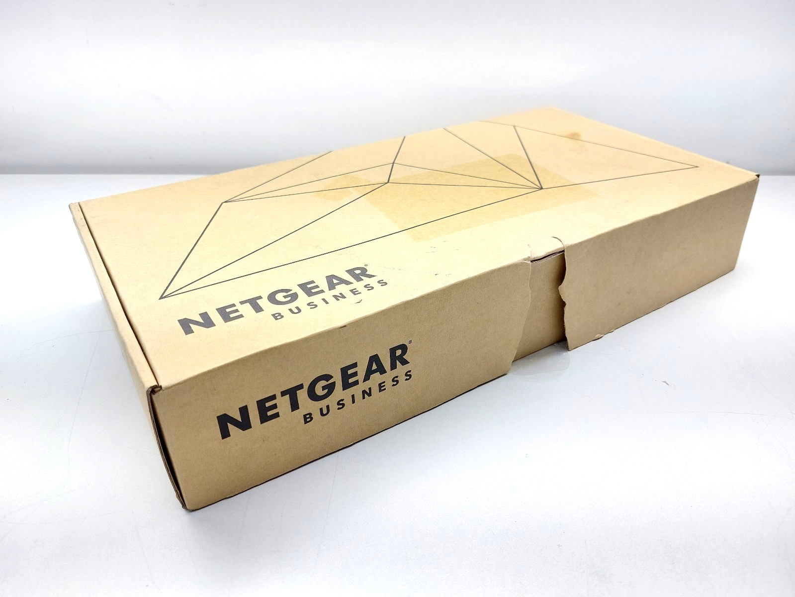 Netgear JGS516PE-100NAS ProSAFE Plus Switch, 16 Gigabit ports with PoE