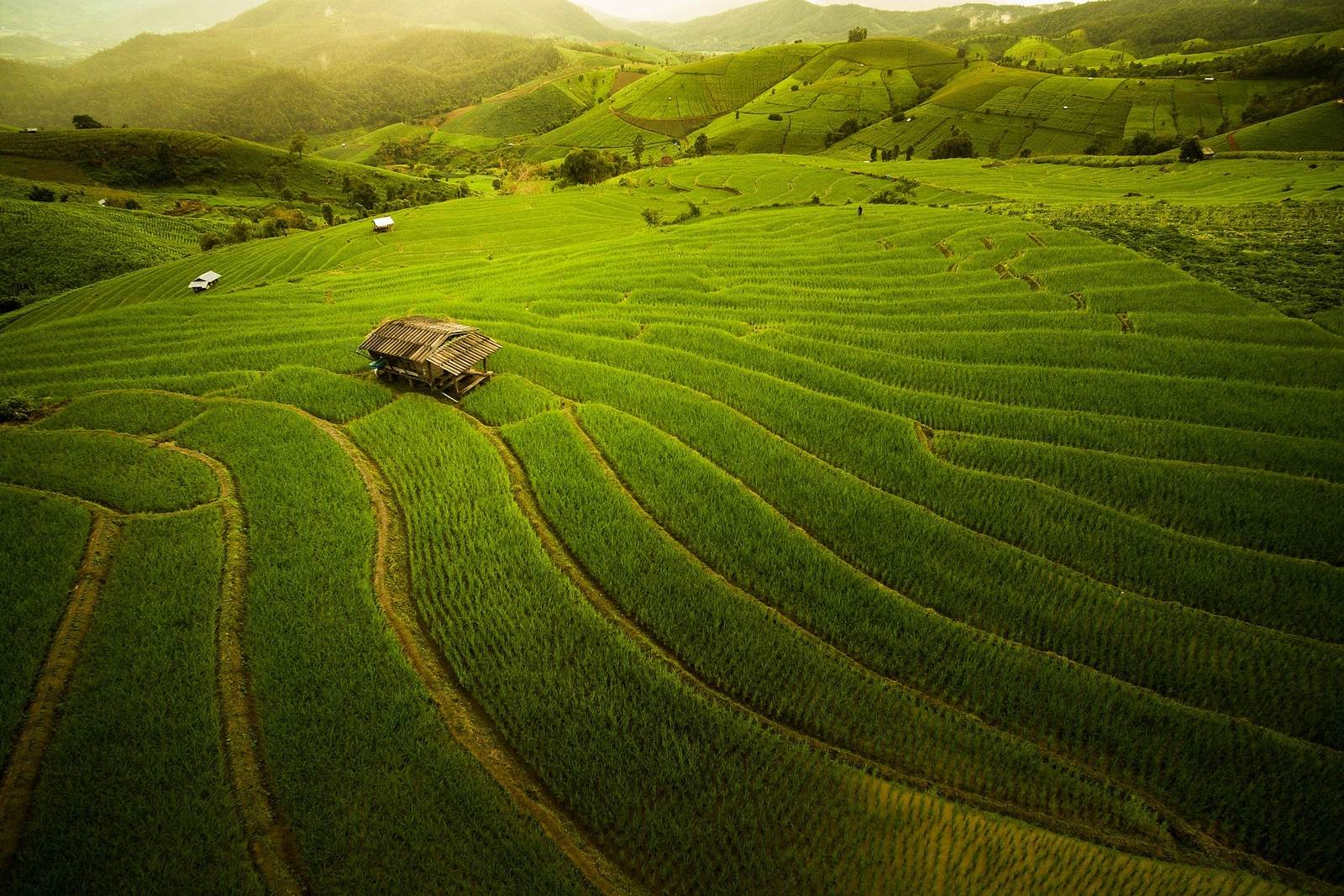 Landscape nature thailand alone house field farm hills Custom Gaming Mat Desk