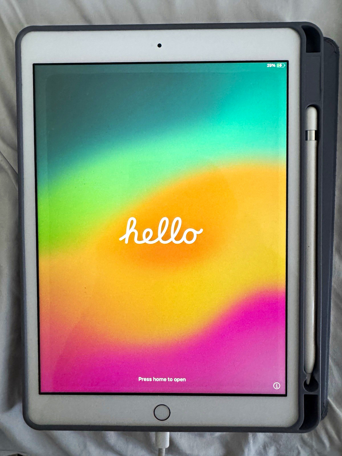 Apple iPad 132GB + Apple Pencil + Blue Case – Good Condition