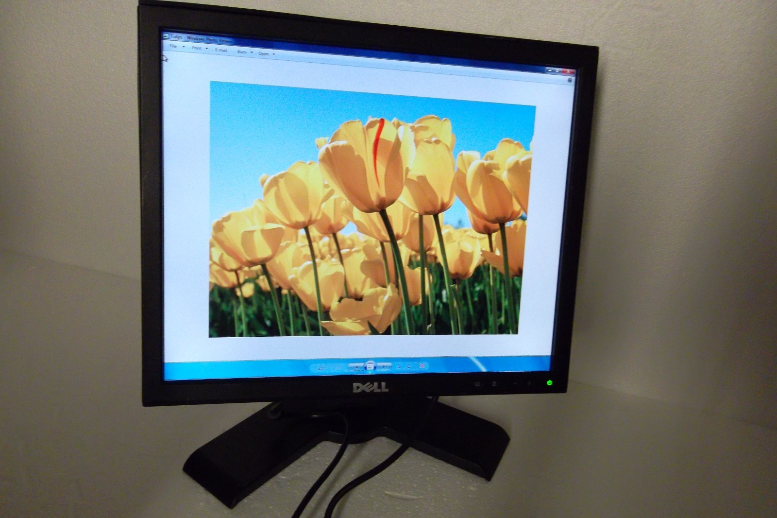 LOT-4 Dell 17" Monitor BLACK w/4-Ports USB Hub DVI VGA P170Sf 1708FP C182J C2JMK
