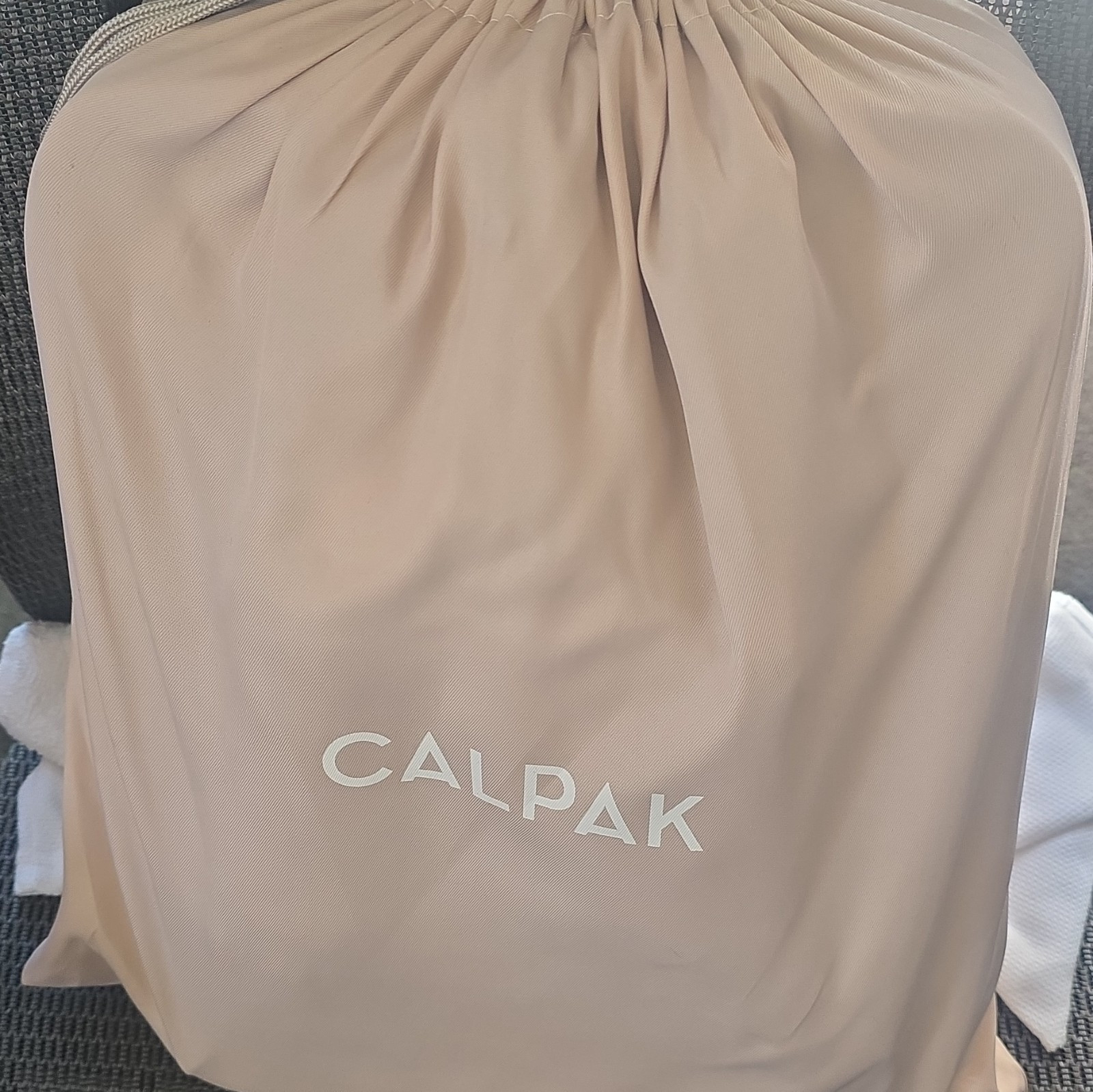 CALPAK Black Leather Laptop Backpack 15in Laptop Compartment Trolley Sleeve