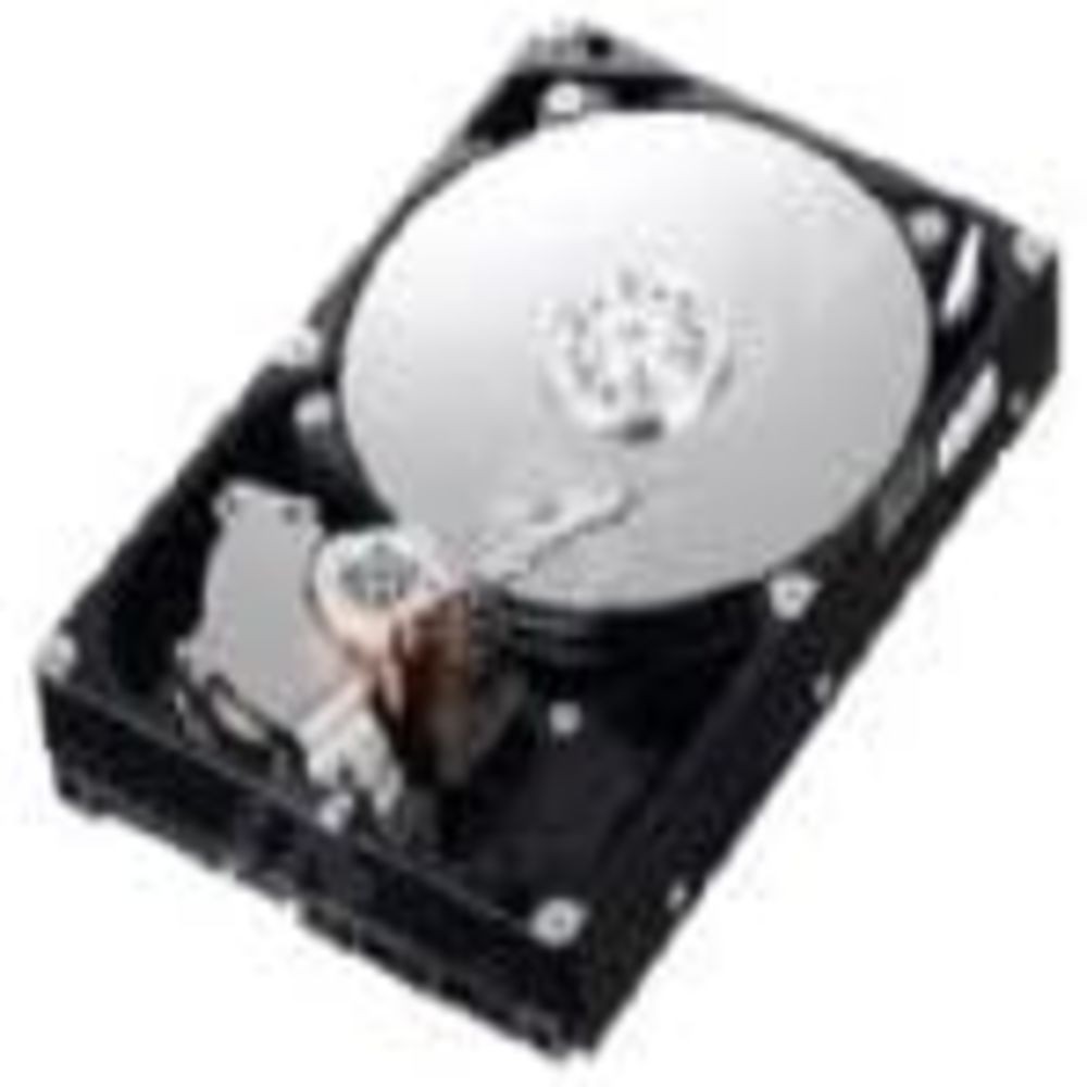 IBM 81Y9786 RR 500GB 81Y9786 SATA 7200 RPM 3.5IN 6GBPS NL G2HS HDD