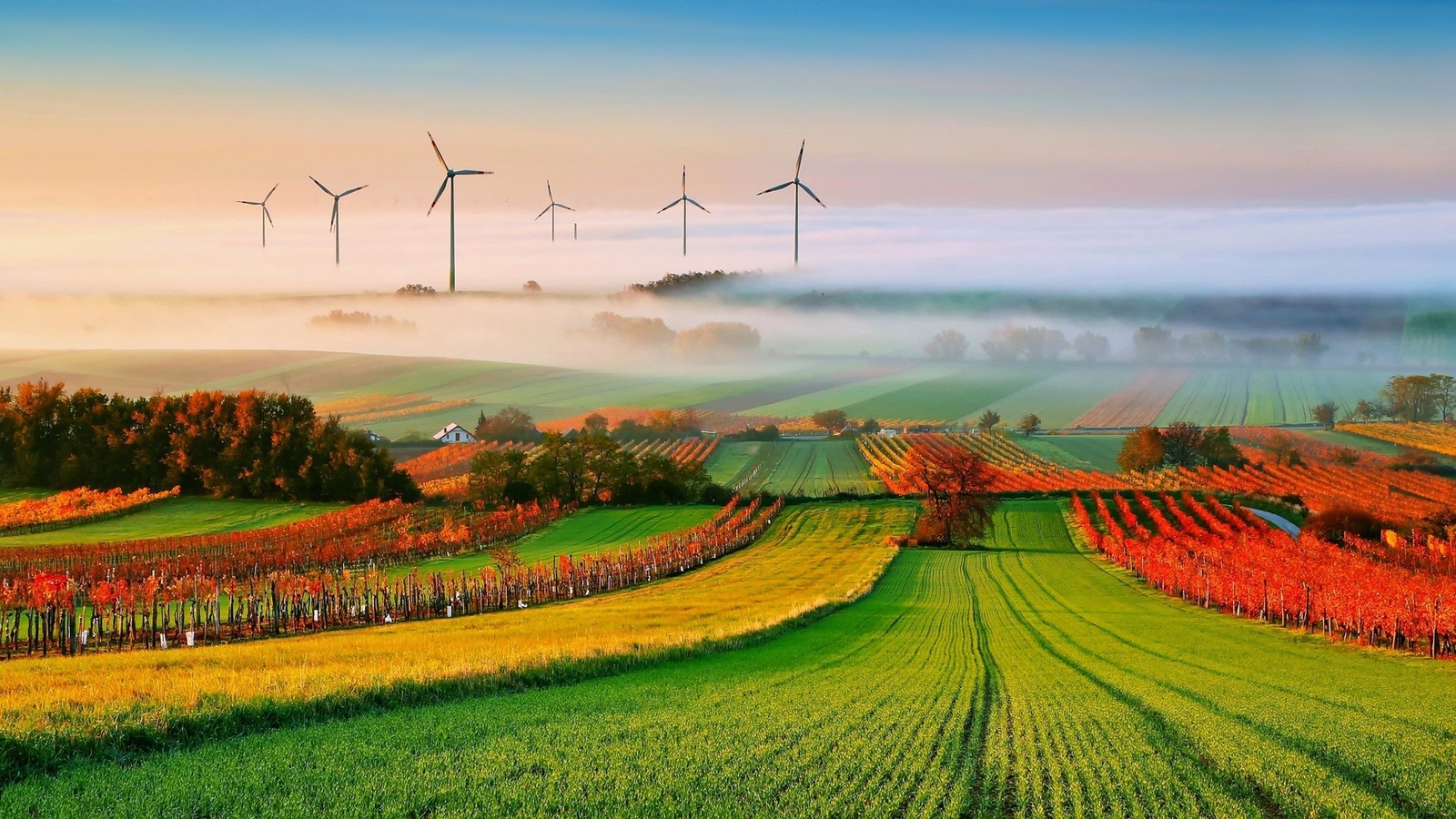 Landscape trees clouds field mist hills house vineyard Custom Gaming Mat Desk